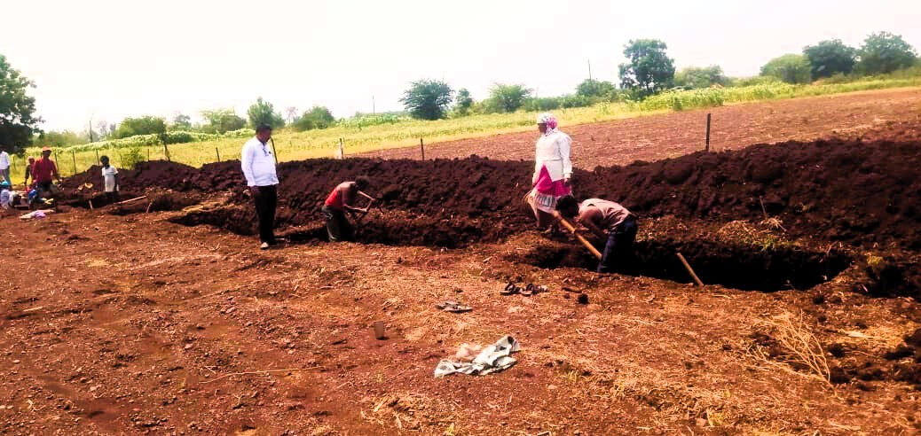 https://1ngo.sgp1.digitaloceanspaces.com/media/prawarda/Farm bund.jpg